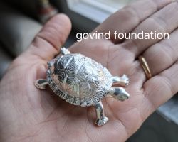 Silver Tortoise 6cm Pure Silver Turtle for vastu Remedy