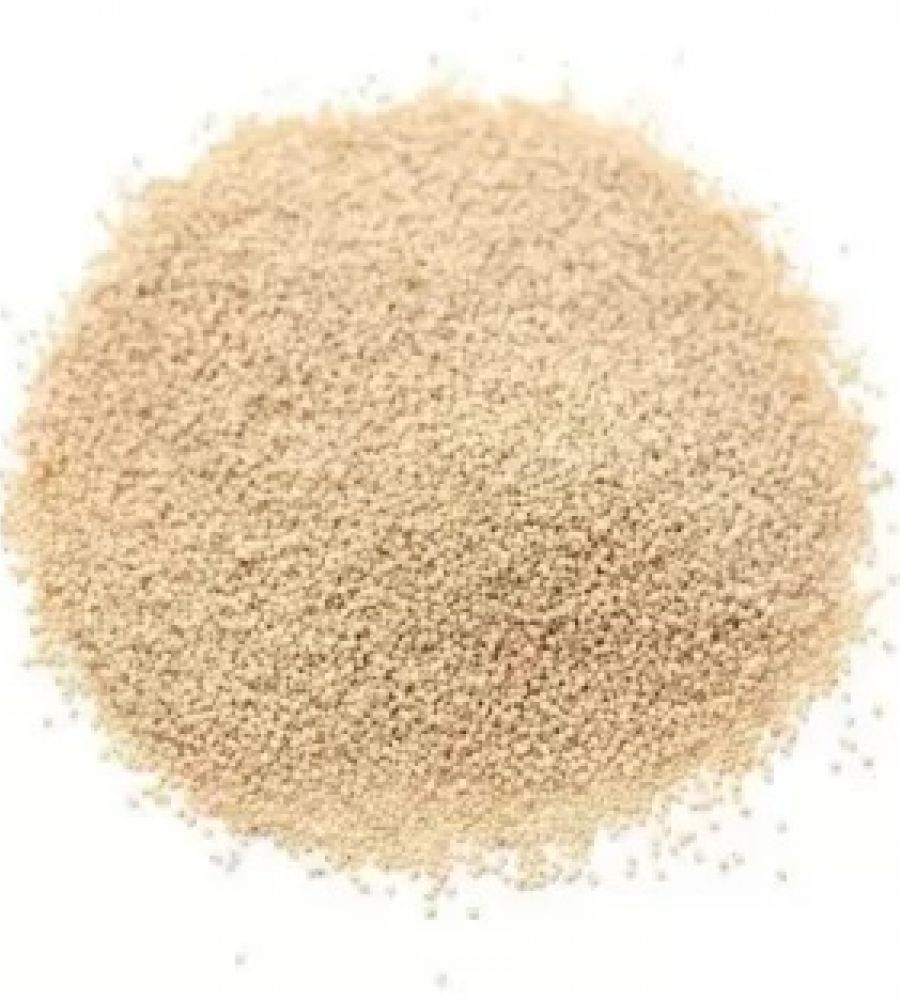 Khas khas poppy seeds 100 gm brand seema govind