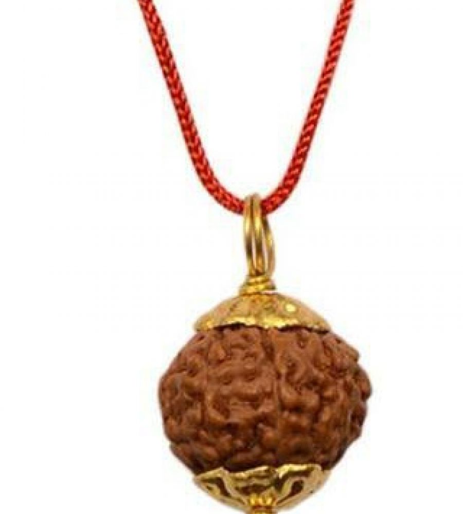 Mukhi Rudraksha Power And Success Lord Kartikeya Murugan Shivoham ...