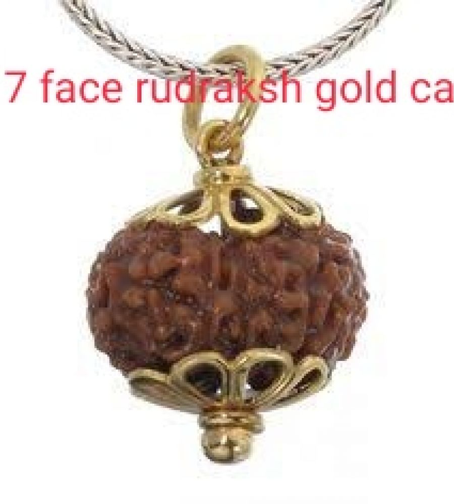 Mukhi Rudraksha Power And Success Lord Kartikeya Murugan Shivoham ...